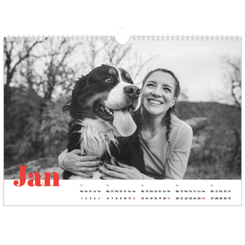 Fotokalender A3 — Et fantastisk år