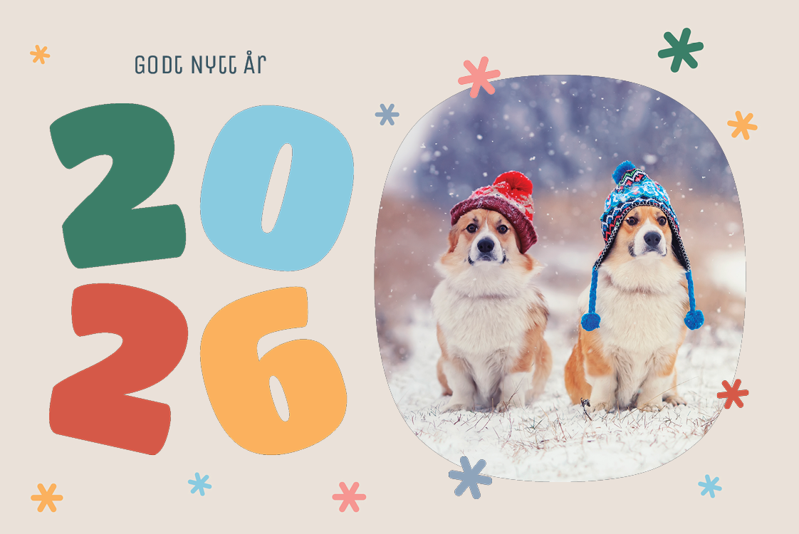 Fotokort — Fargerik