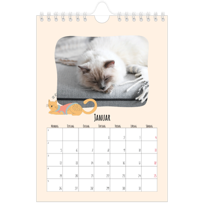 Fotokalender A5 — Kattepoter og kruseduller [Januar]