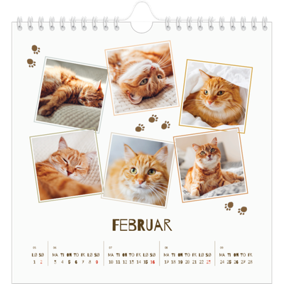 Månedskalender kvadratisk — Leken kattunge [Februar]