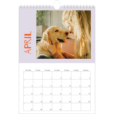 Fotokalender A4 (20 x 30 cm) — Fargerik kalender [April]