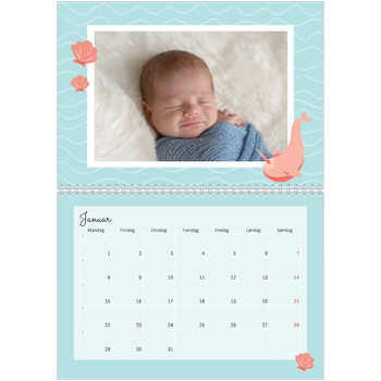 Fotokalender A4 dobbel — Søte dyr