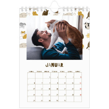 Fotokalender A5 — Leken kattunge