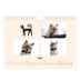 Fotokalender A5 — Kattepoter og kruseduller [Februar]