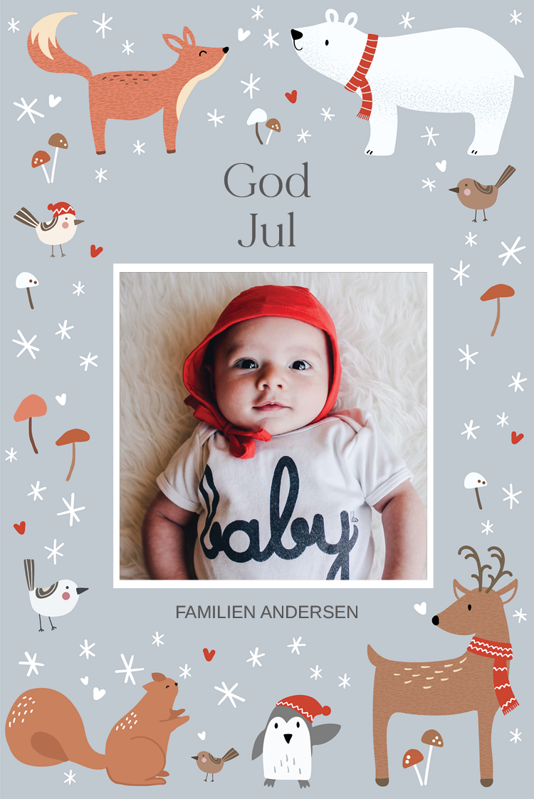 Fotokort — Vinterlandskap