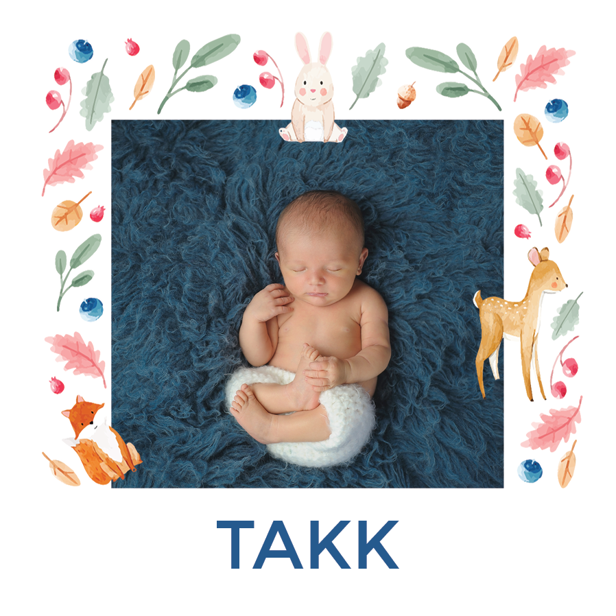 Takkekort — Fargerike skogsdyr