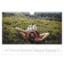 Fotokalender A4 — Endeløs flukt [Mai]