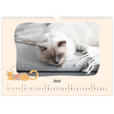 Fotokalender A3 — Kattepoter og kruseduller [Januar]