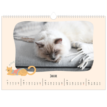 Fotokalender A3 — Kattepoter og kruseduller
