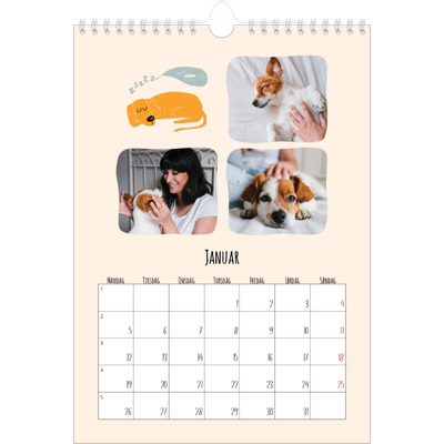 Fotokalender A4 (20 x 30 cm) — Hundepoter og kruseduller [Januar]