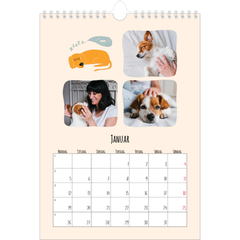 Fotokalender A4 — Hundepoter og kruseduller