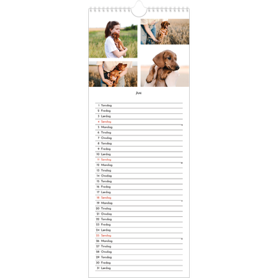 Fotokalender smal  — Bildecollage [kalender-forside]