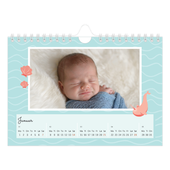 Fotokalender A5 — Søte dyr