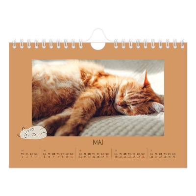 Fotokalender A5 — Leken kattunge [kalender-forside]