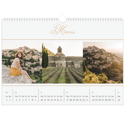 Fotokalender A3 — Elegant gull [Mars]