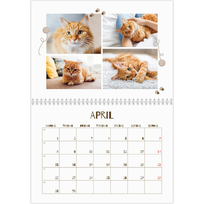 Fotokalender A4 dobbel (30 x 40 cm) — Leken kattunge [April]