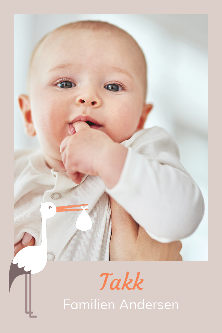 Takkekort — Mitt venn storken