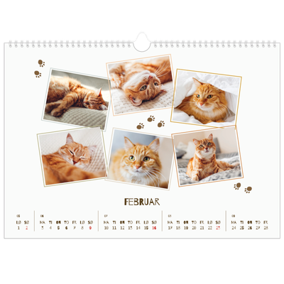 Fotokalender A3 — Leken kattunge [Februar]