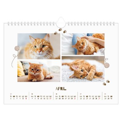 Fotokalender A4 — Leken kattunge [April]