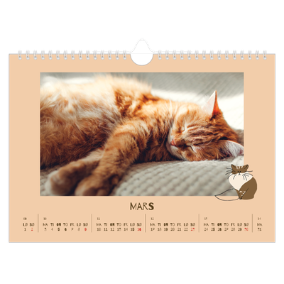 Fotokalender A4 — Leken kattunge [Mars]