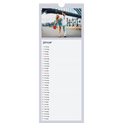 Fotokalender smal  — Stilrene farger [Januar]