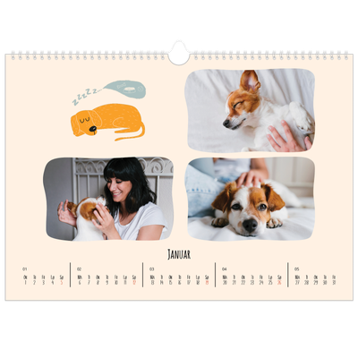 Fotokalender A3 — Hundepoter og kruseduller [Januar]