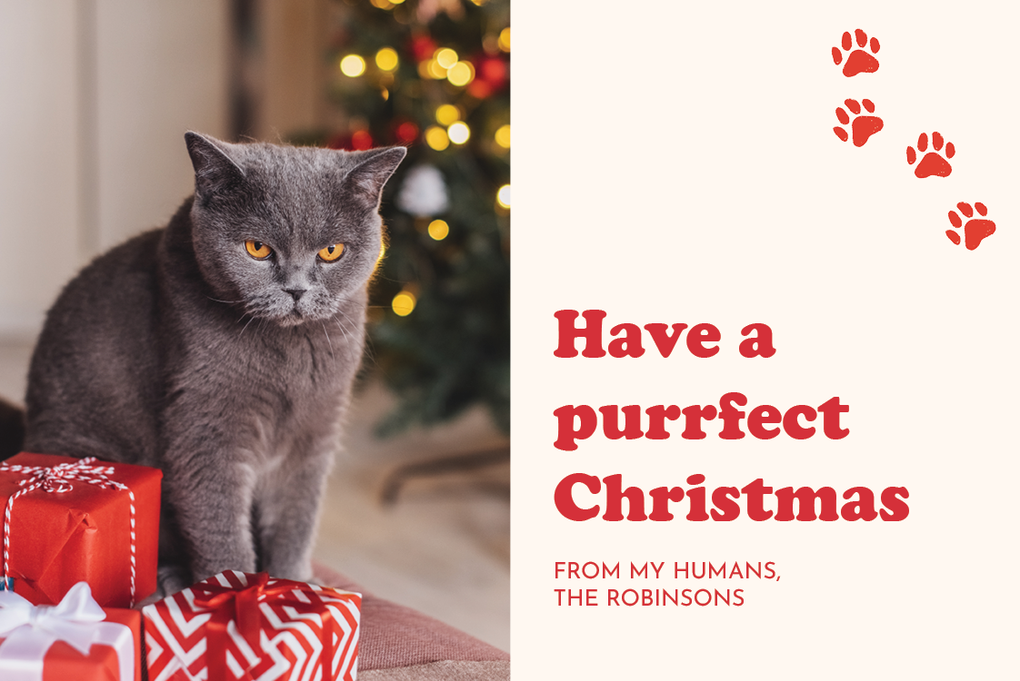Fotokort — Purrfect Christmas