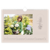 Fotokalender A4 — Enkel botanisk [Mars]