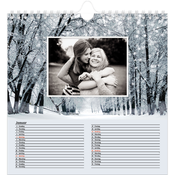 Fotokalender Kvadratisk — Fire årstider
