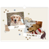 Fotokalender A3 — Leken valp [kalender-forside]