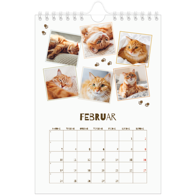 Fotokalender A5 — Leken kattunge [Februar]