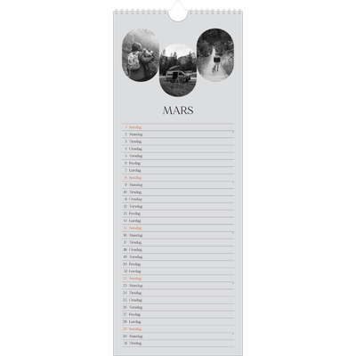 Fotokalender smal  — Den åpne veien [Mars]