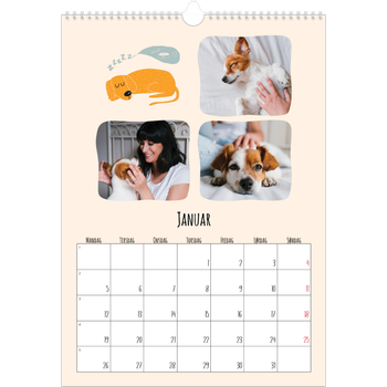 Fotokalender A3 — Hundepoter og kruseduller