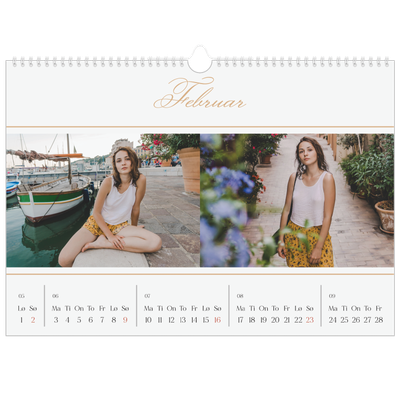 Fotokalender A3 — Elegant gull [Februar]