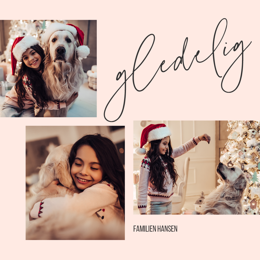 Fotokort — Rosa juleglede