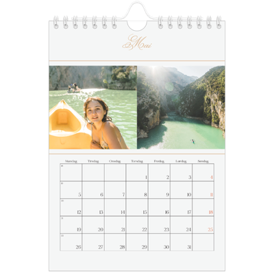 Fotokalender A5 — Elegant gull [kalender-forside]