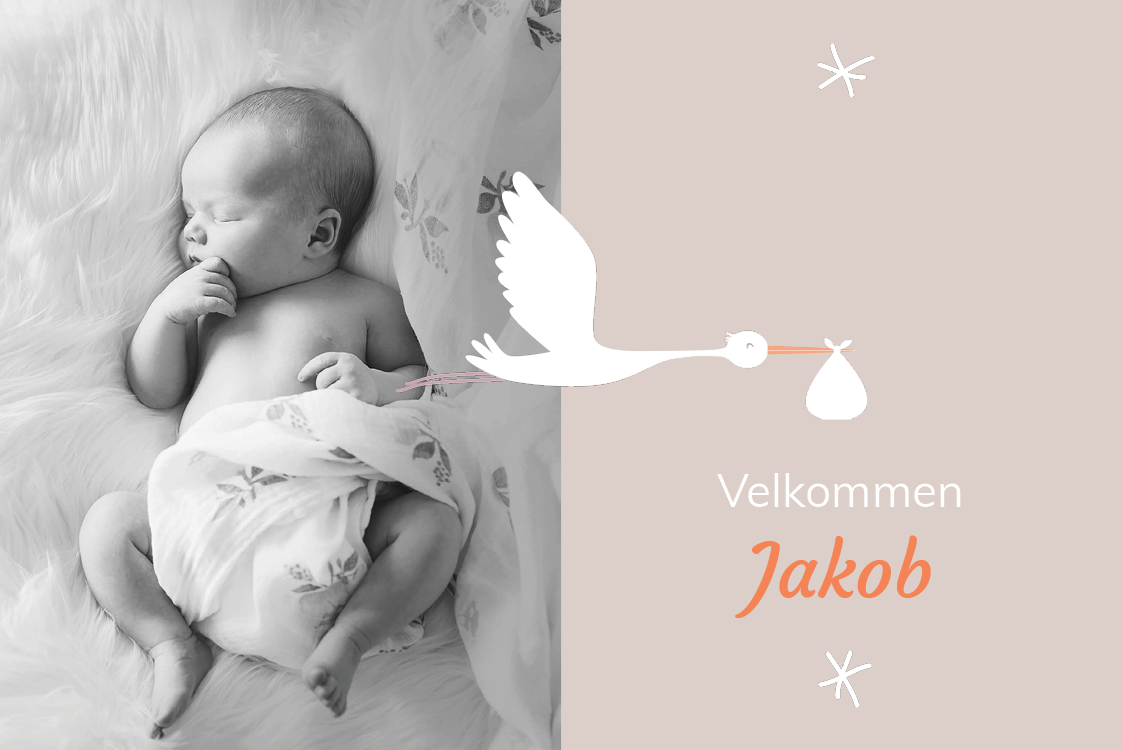 Invitasjoner — Mitt venn storken