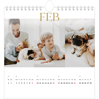 Månedskalender kvadratisk — Gull stor skrift [Februar]