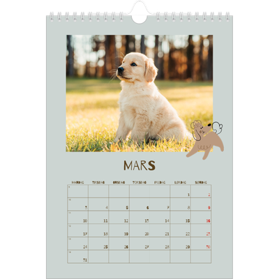 Fotokalender A4 (20 x 30 cm) — Leken valp [Mars]