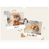 Fotokalender A3 — Leken kattunge [kalender-forside]
