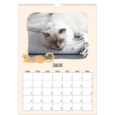 A3 Månedskalender — Kattepoter og kruseduller [Januar]
