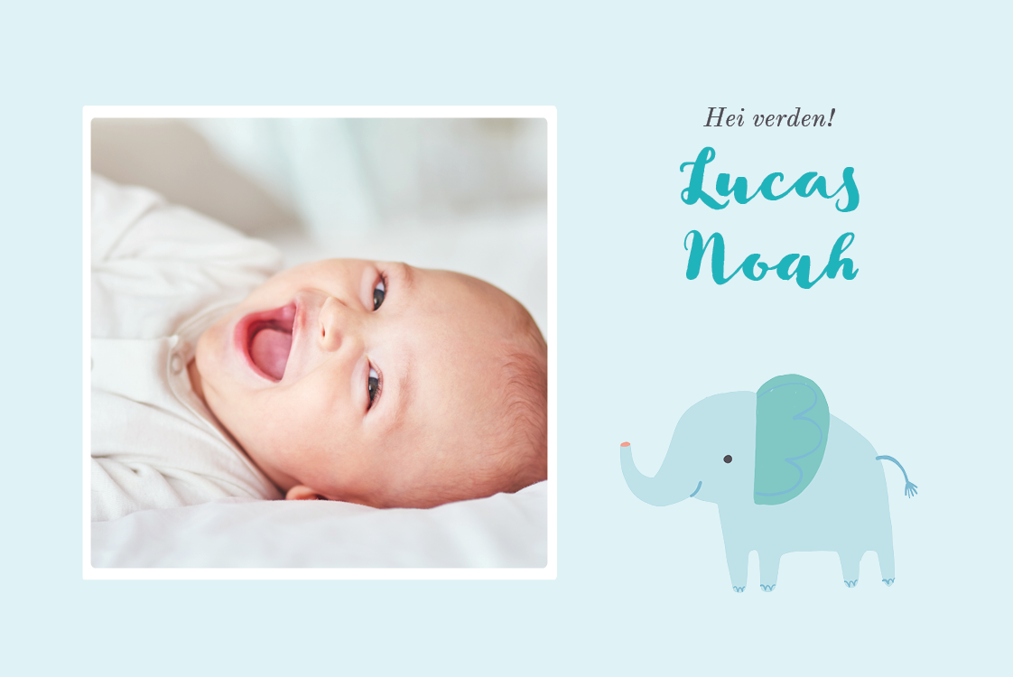 Invitasjoner — Blå elefant