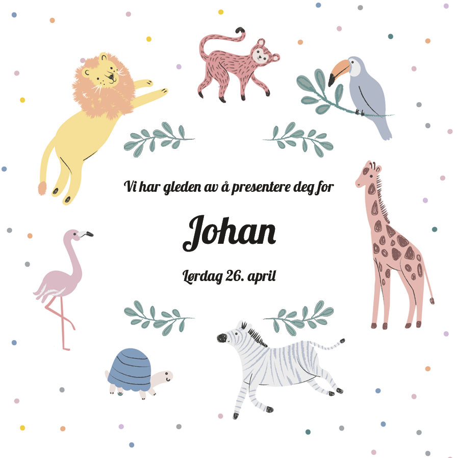 Invitasjoner — Lekende safari