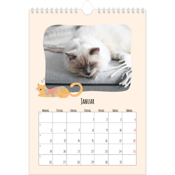 Fotokalender A4 — Kattepoter og kruseduller