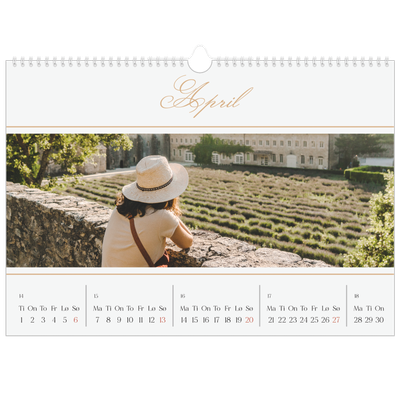 Fotokalender A3 — Elegant gull [April]
