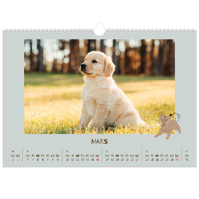 Fotokalender A3 — Leken valp [Mars]