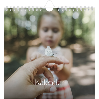 Månedskalender kvadratisk — Tolv store måneder [kalender-forside]