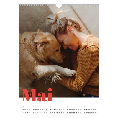 A3 Månedskalender — Et fantastisk år [kalender-forside]