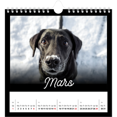 Månedskalender kvadratisk — Sort minimalisme [Mars]