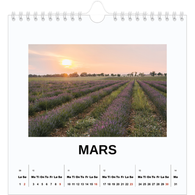 Månedskalender kvadratisk — Enkelt bilde [Mars]